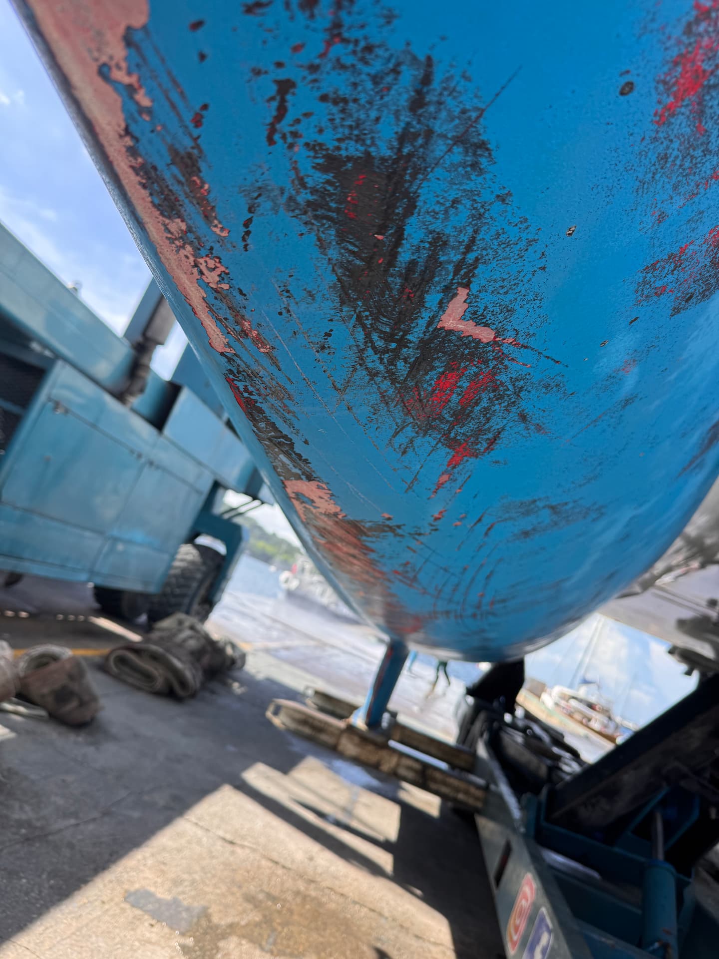 Kratzspuren im Antifouling von Baumstämmen